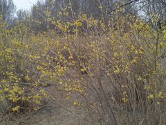 -长春公园(普阳街道)