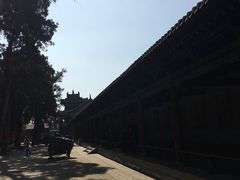 -关林