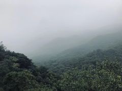 -鬼笑石后山停车场