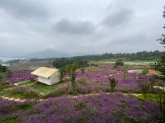 -华侨城阳宗海海景温泉