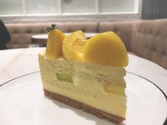 芒果芝士-The open life(万象城店)