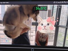 -Husky Go! 哈士奇体验馆·宠物咖啡厅狗咖