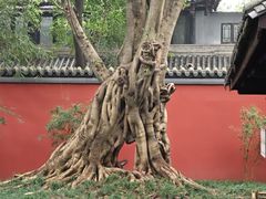 -成都武侯祠博物馆