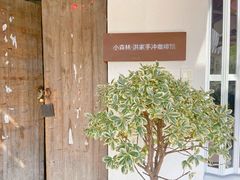 -Cafe In Little Forest