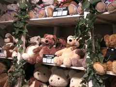 -济州岛泰迪熊博物馆