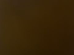 -大宝全猪馆(南京路店)