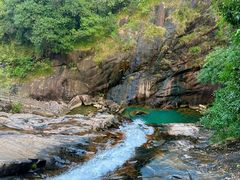 -广州白江湖森林公园