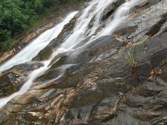 -广州白江湖森林公园