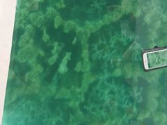 -蓝湾海滩