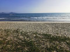 -明记海鲜大排档(巽寮湾店)