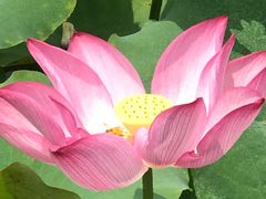 -昆山城市生态森林公园