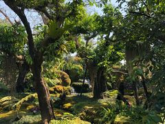 -Chom Cafe and Restaurant