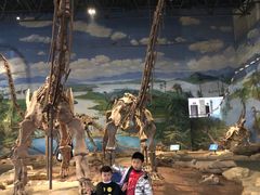 -自贡恐龙博物馆