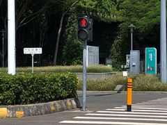 公园东门入口-华侨城湿地公园