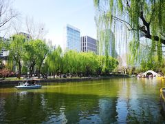-团结湖公园