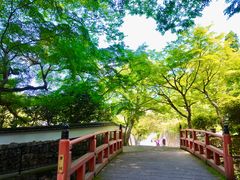 -三千院