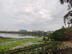 -万绿园