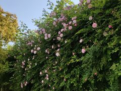 -南通奥特莱斯购物广场