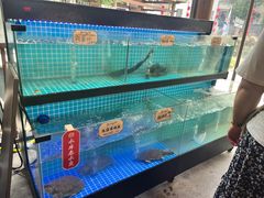 -湘力力小院·鱼汤泡饭(枫林路店)