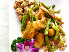 -云中小雅