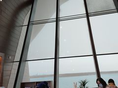 -抱抱地球咖啡馆(国家海洋博物馆店)