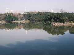 -江心屿景区