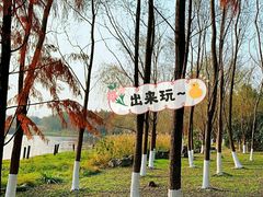 -洋湖国家湿地公园