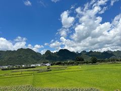 -万峰林风景区