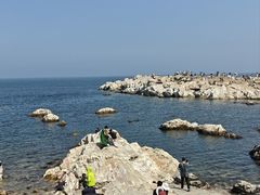 -养马岛旅游度假区