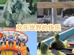 -水上乐园·欢乐世界