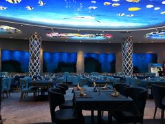 -瑞德姆美人鱼海底演艺主题餐厅(亚龙湾店)