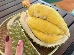 -榴莲BB 四季果园