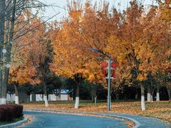 -北京园博大酒店