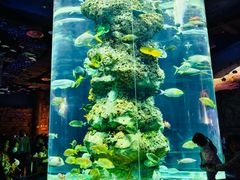 -芜湖新华联大白鲸海洋公园