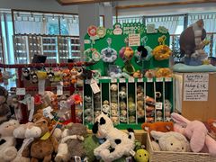 -猫的天空之城概念书店(北戴河蔚蓝海岸店)