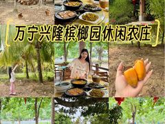 -兴隆槟榔园休闲农庄