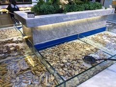 -川骄海鲜自助(河东店)