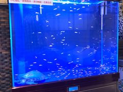 -老江南春·中国龙菜(衡山路店)