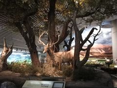 -中国湿地博物馆