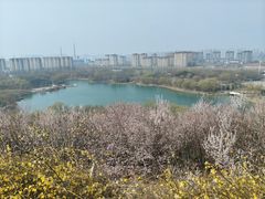 -河北省园博园