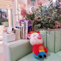 -好看加白色房子