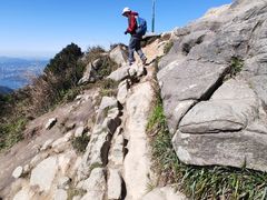 -梧桐山风景名胜区