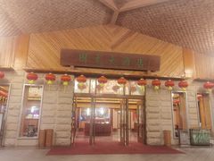 -雁南飞茶田景区