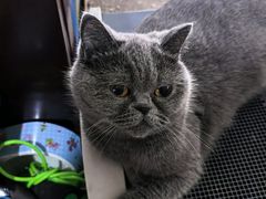 -FAELING PETS美天灵宠物(富力广场店)
