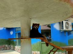 -栾川竹海野生动物园