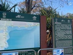 -深圳湾公园(南山区)