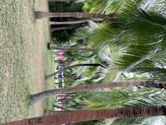 -白沙门生态公园