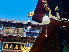 -武陵山森林公园