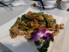 -云中小雅