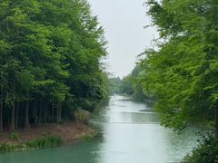 -贡湖湾湿地公园